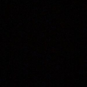 Meet your Posher, Abigail